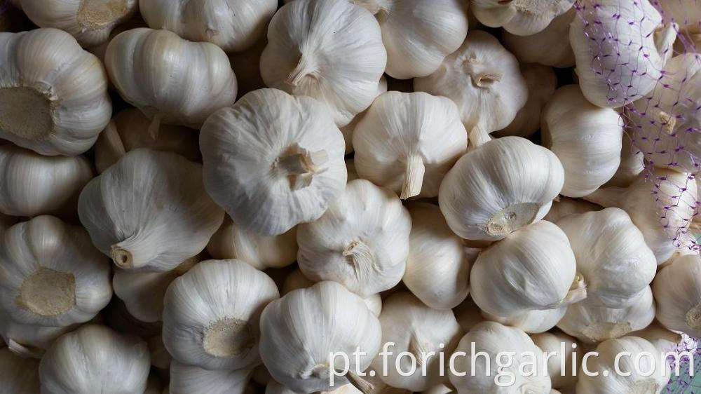 Pure White Garlic